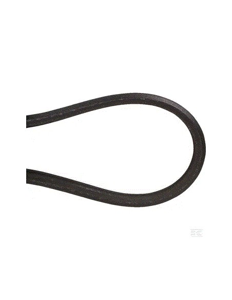 Courroie profil AA - Li 2024,6 mm 13 x 10 - AA79