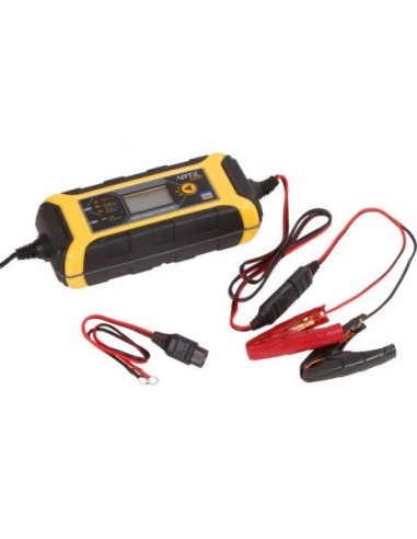 Chargeur de batterie Artic 4000