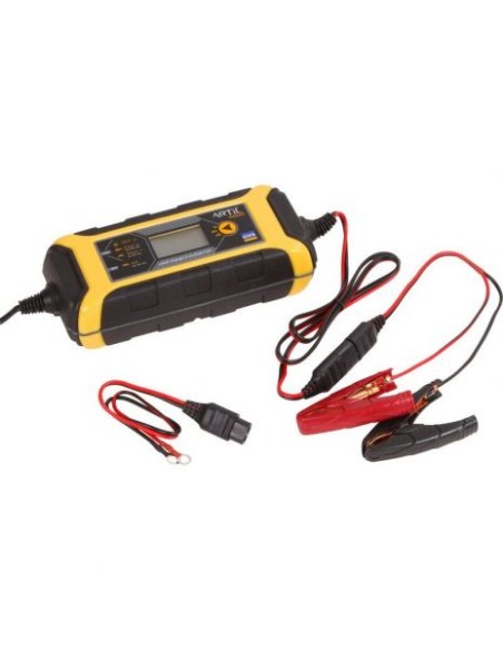 Chargeur de batterie Artic 4000