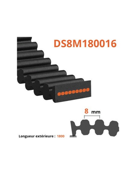 Courroie double crantage - DS8M - 1800 16