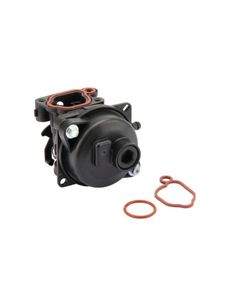 Carburateur pour moteur Briggs & Stratton 595656