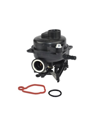Carburateur pour moteur Briggs & Stratton 591109
