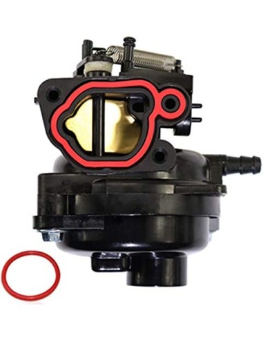 Carburateur pour moteur Briggs & Stratton 799584
