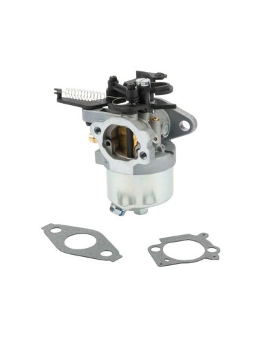 Carburateur pour moteur Briggs & Stratton 595509