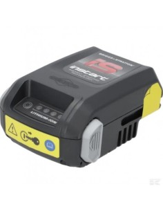 Batterie Lithium-Ion 10,8V Briggs & Stratton