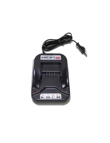 Chargeur de batterie pour BRIGGS & STRATTON INSTART 593562