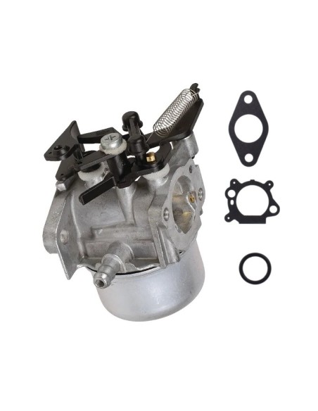 Carburateur pour moteur Briggs & Stratton 796608
