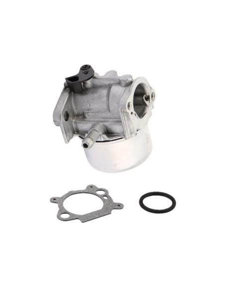 Carburateur pour moteur Briggs & Stratton 799872