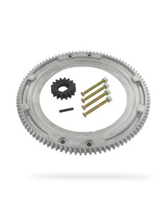 Couronne de démarreur pour Briggs & Stratton