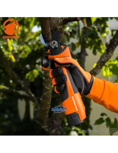 Sécateur électrique sans fil 14.4V avec 2...