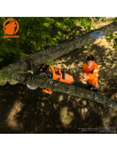 Perche télescopique compatible sécateur...