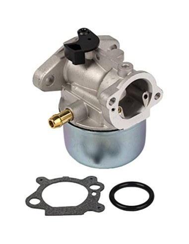 Carburateur pour moteur Briggs & Stratton 499059