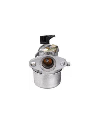 Carburateur pour moteur Briggs & Stratton 498965