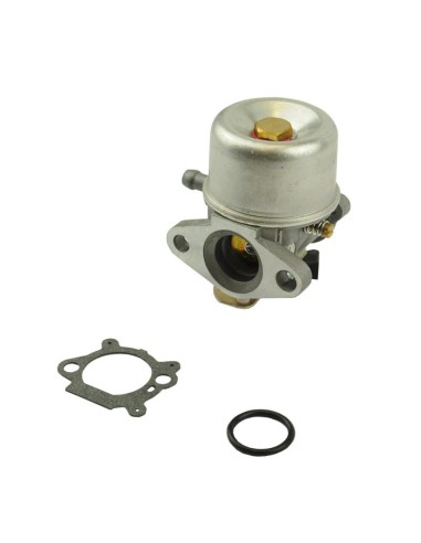 Carburateur pour moteur Briggs & Stratton 498965