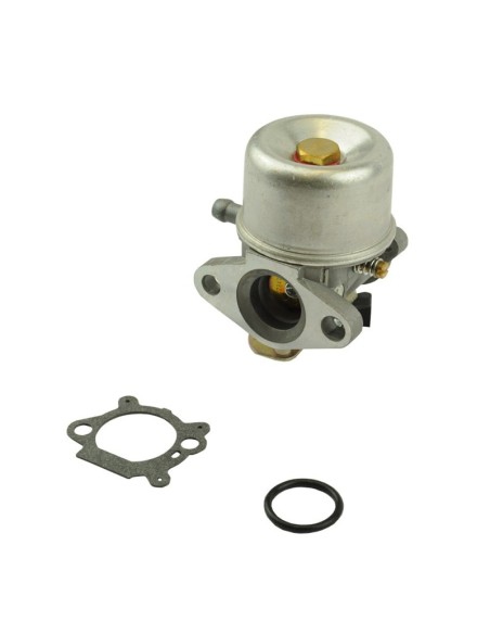 Carburateur pour moteur Briggs & Stratton 498965