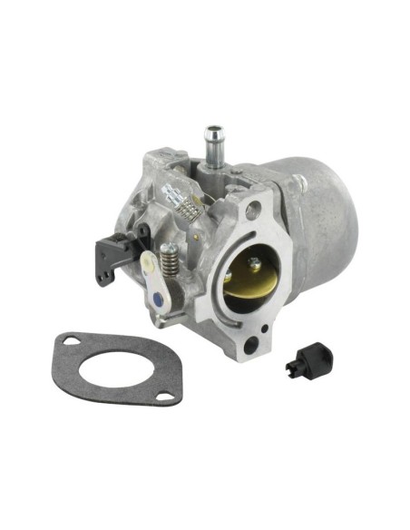 Carburateur pour moteur Briggs & Stratton 799728