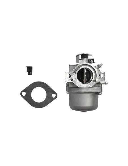 Carburateur pour moteur Briggs & Stratton 799728