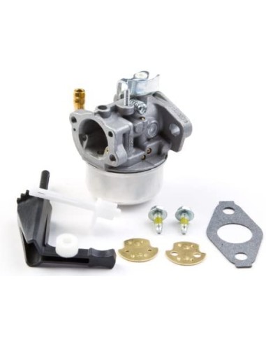 Carburateur pour moteur Briggs & Stratton 798653