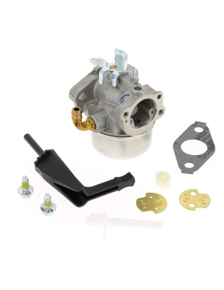 Carburateur pour moteur Briggs & Stratton 798653