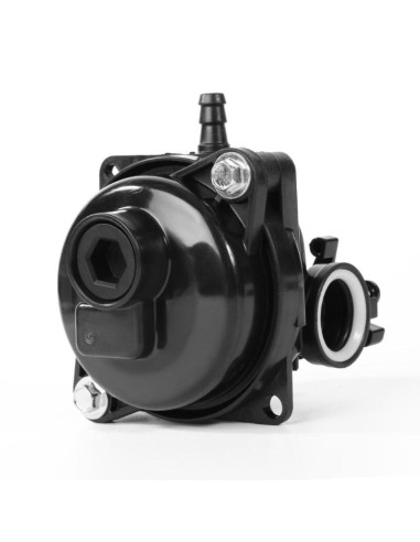 Carburateur pour moteur Briggs & Stratton 594058