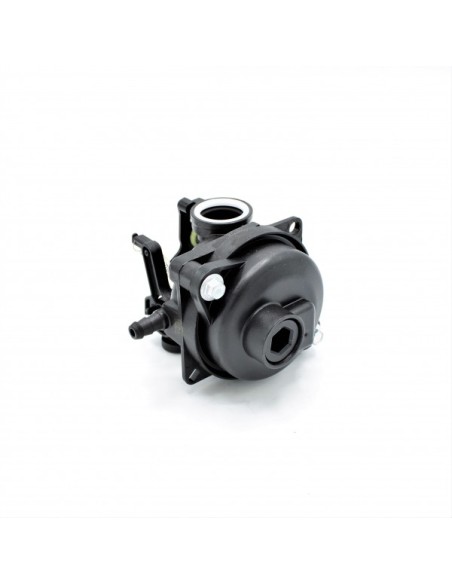 Carburateur pour moteur Briggs & Stratton 597269