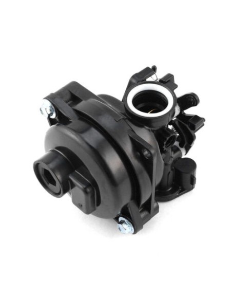 Carburateur pour moteur Briggs & Stratton 597306