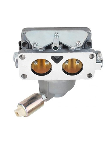 Carburateur pour moteur Briggs & Stratton 791230