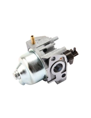 Carburateur pour moteur Castelgarden 118550697/0