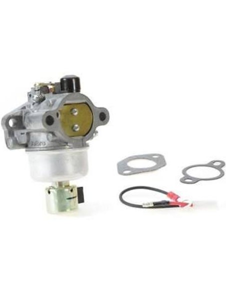 Carburateur pour Kohler 12853178