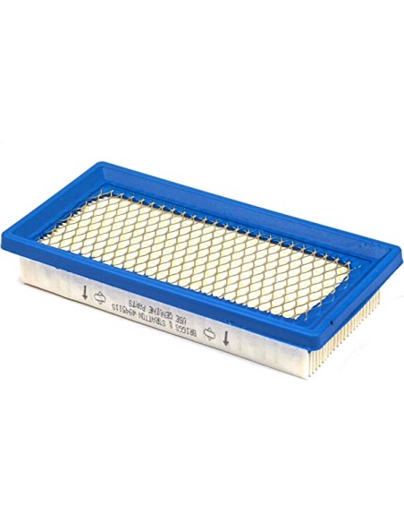 Filtre à air pour Briggs & Stratton 494511S