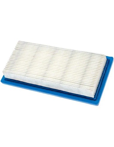 Filtre à air pour Briggs & Stratton 494511S