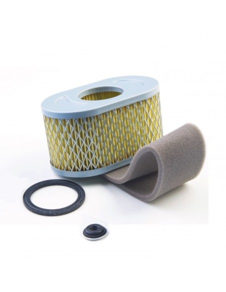 Filtre à air pour Briggs & Stratton 797032
