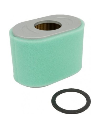 Filtre à air pour Briggs & Stratton 797032