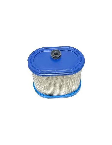 Filtre à air pour Briggs & Stratton 695302