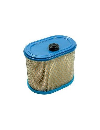 Filtre à air pour Briggs & Stratton 695302