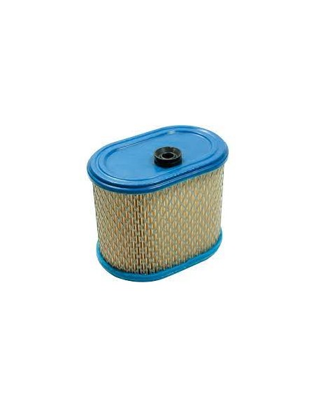 Filtre à air pour Briggs & Stratton 695302