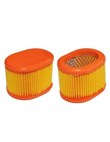 Filtre à air pour Briggs & Stratton 790166