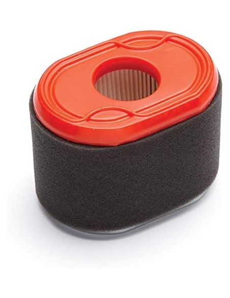 Filtre à air pour Briggs & Stratton 796970